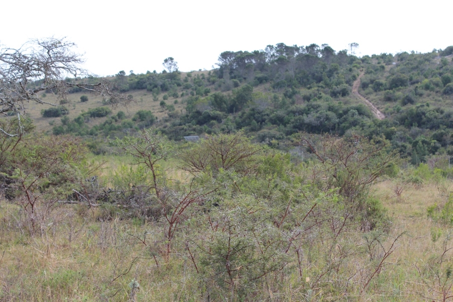 0 Bedroom Property for Sale in Bathurst Eastern Cape